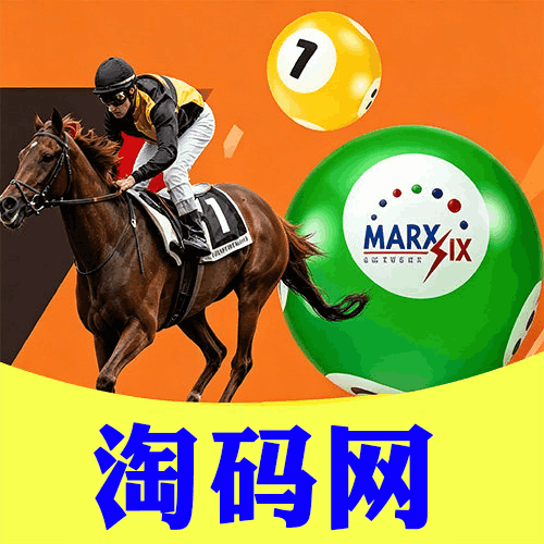 淘码网